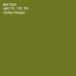 #6E7823 - Fern Frond Color Image